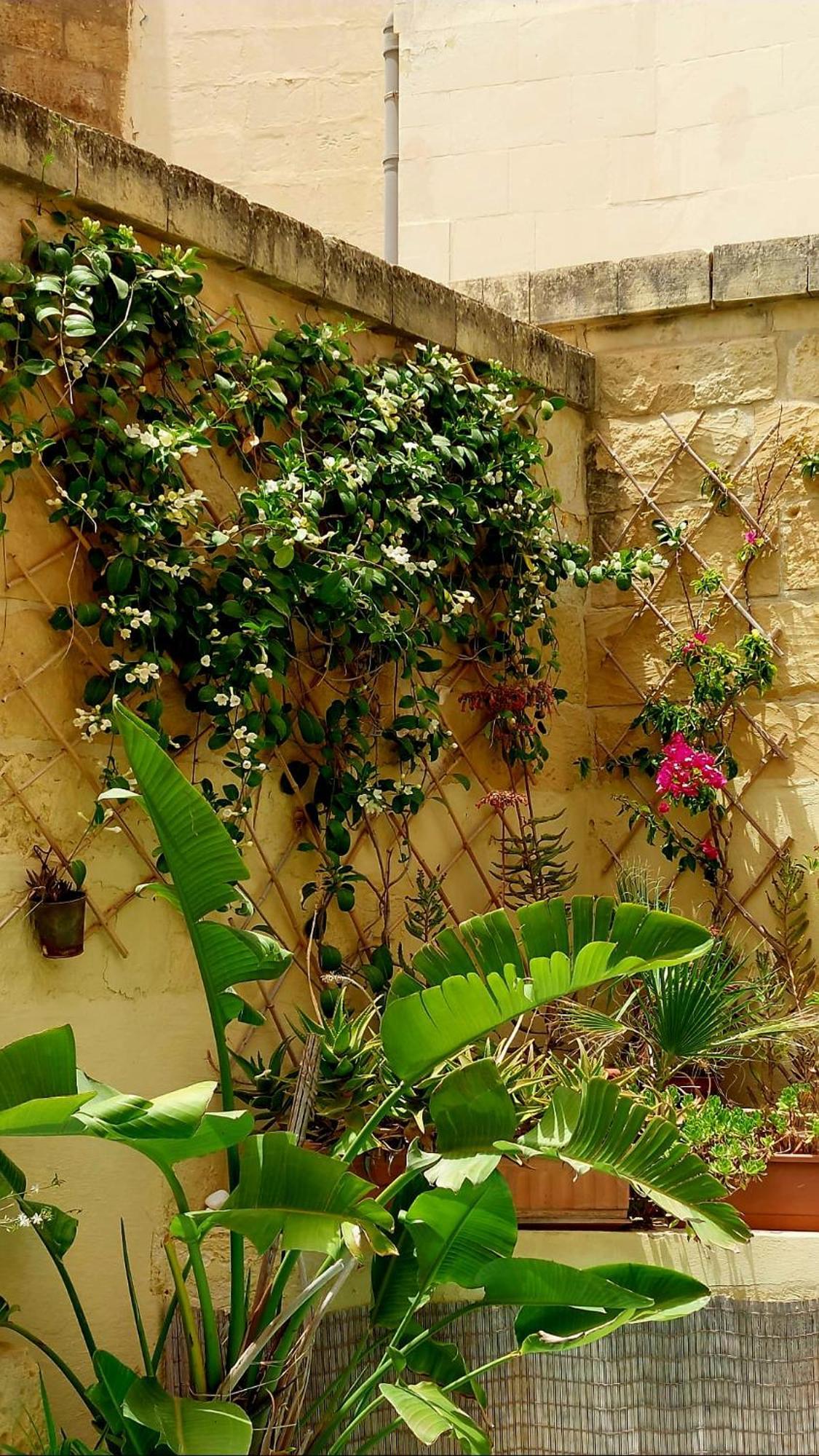 Ta' Didi B&B Kerċem 외부 사진
