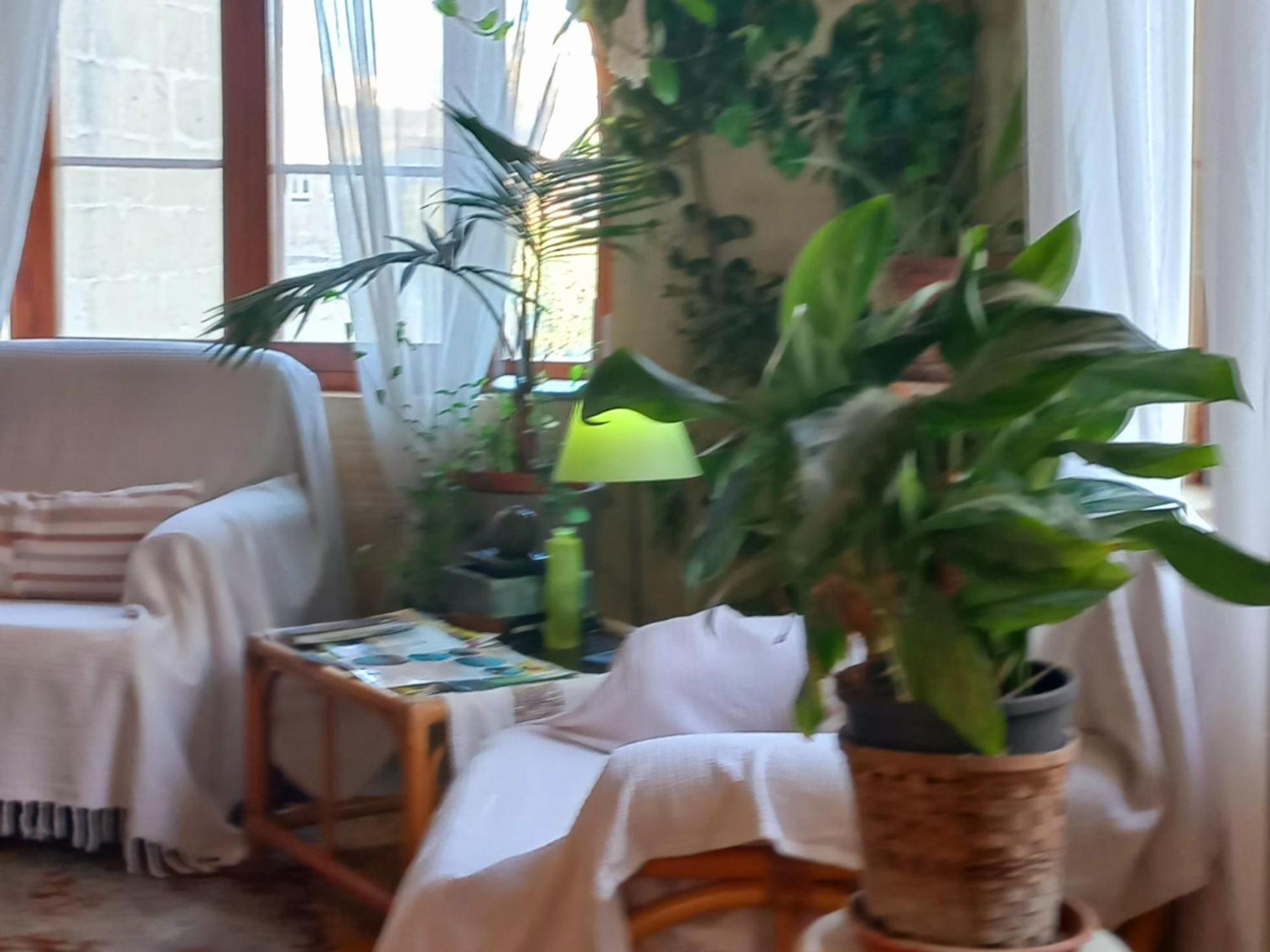 Ta' Didi B&B Kerċem 외부 사진