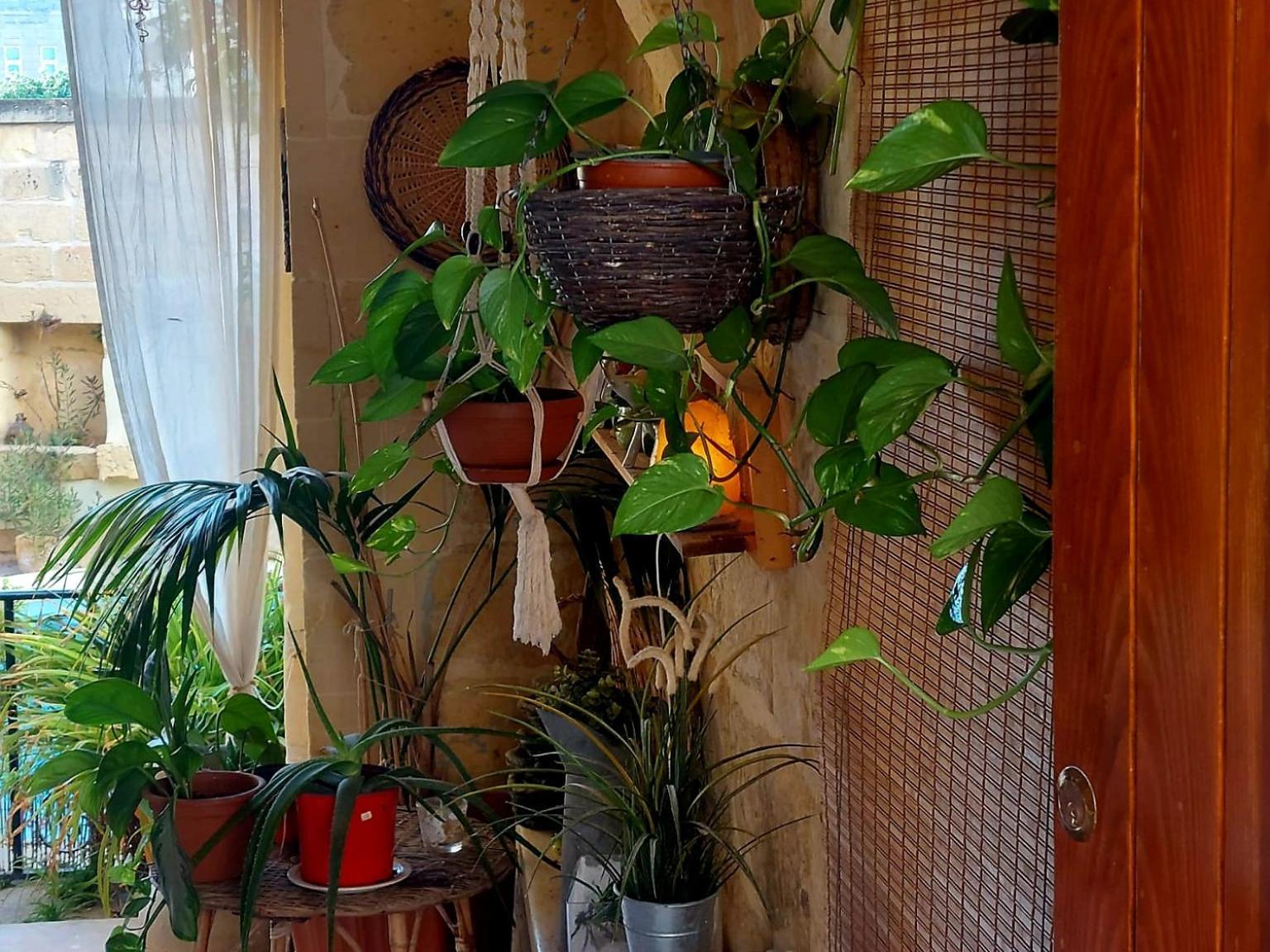 Ta' Didi B&B Kerċem 외부 사진